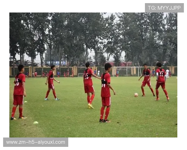 琜队如何建立青训资金的多元化来源,什么叫青训队
