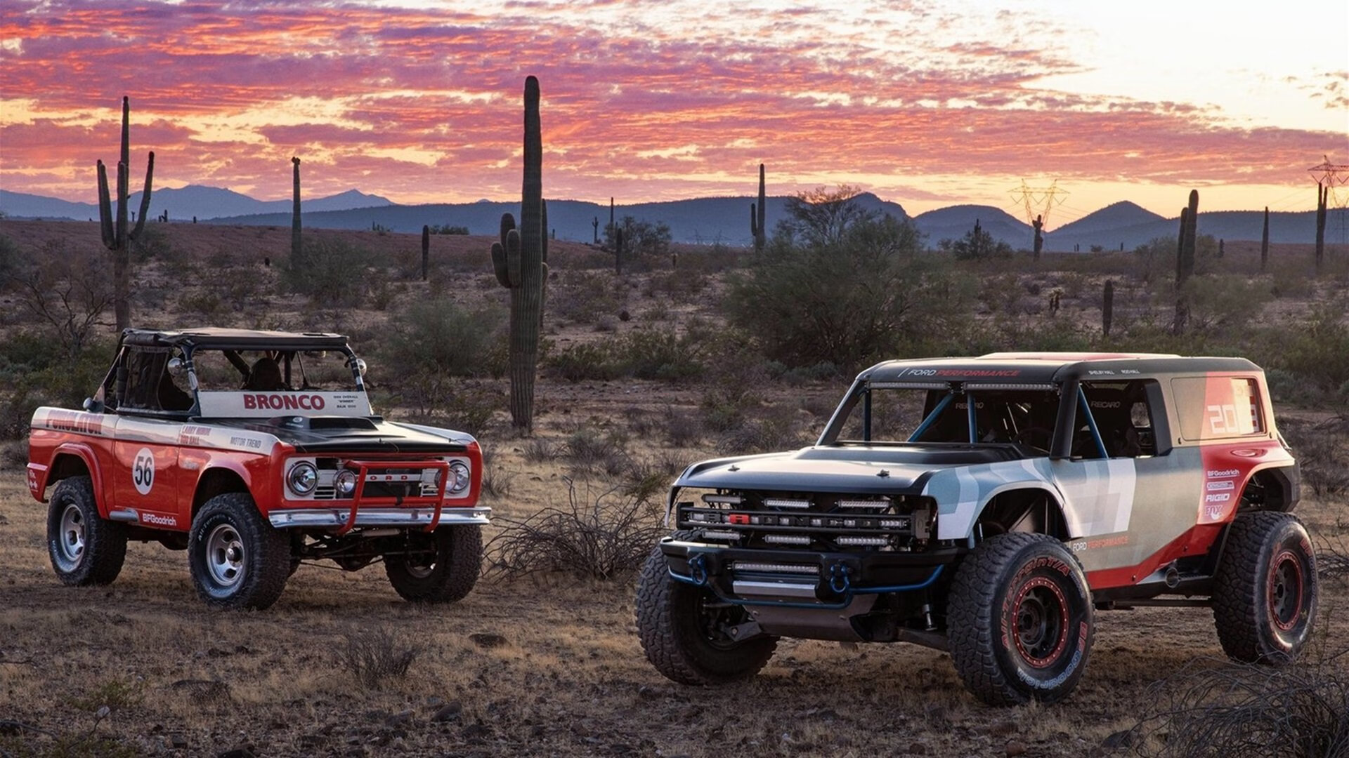 希腊女篮在国际比赛中稳步提升,迈向奥运