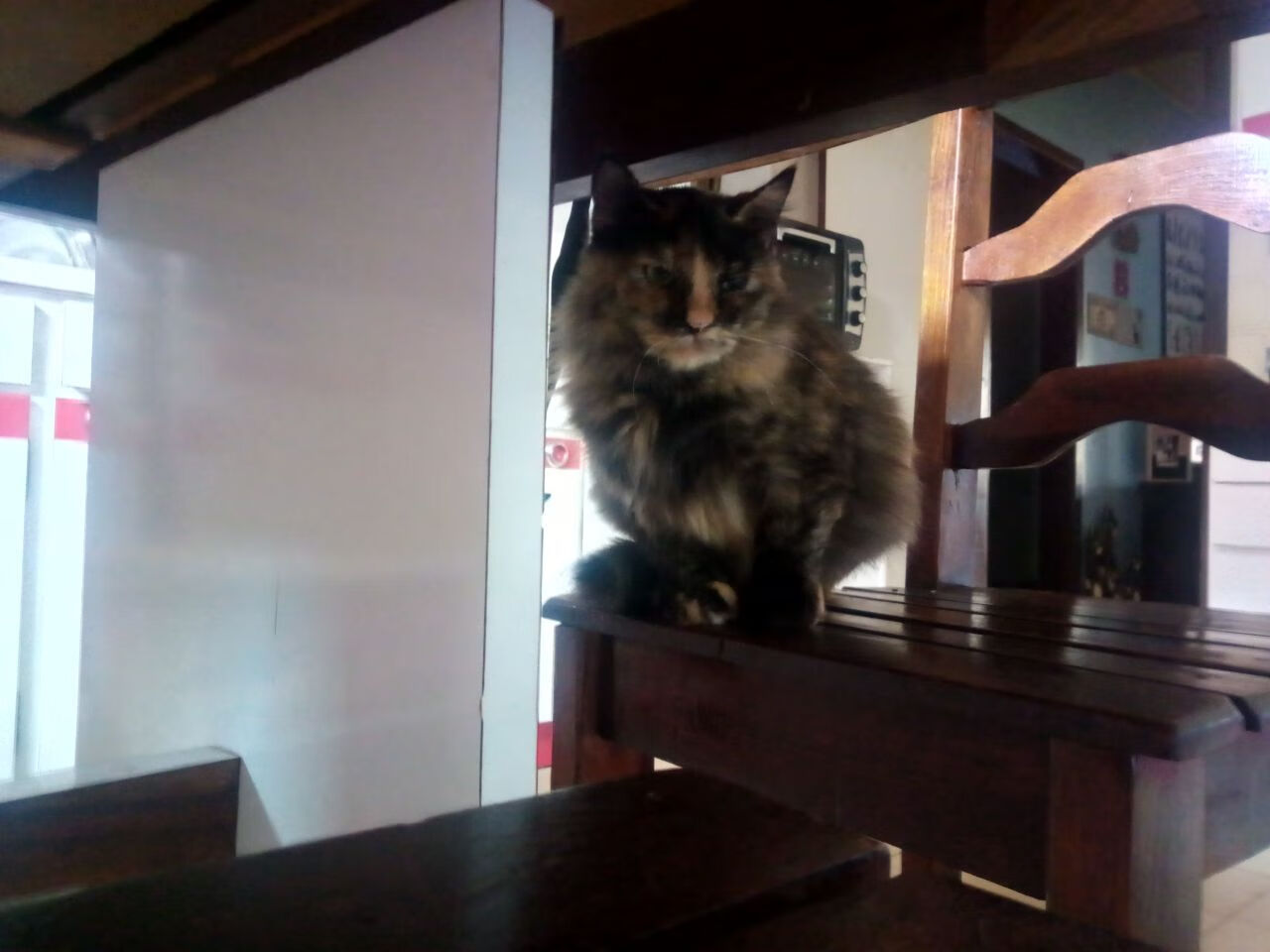 意甲细腻控球:展现足球的艺术魅力,意大利足球控球率