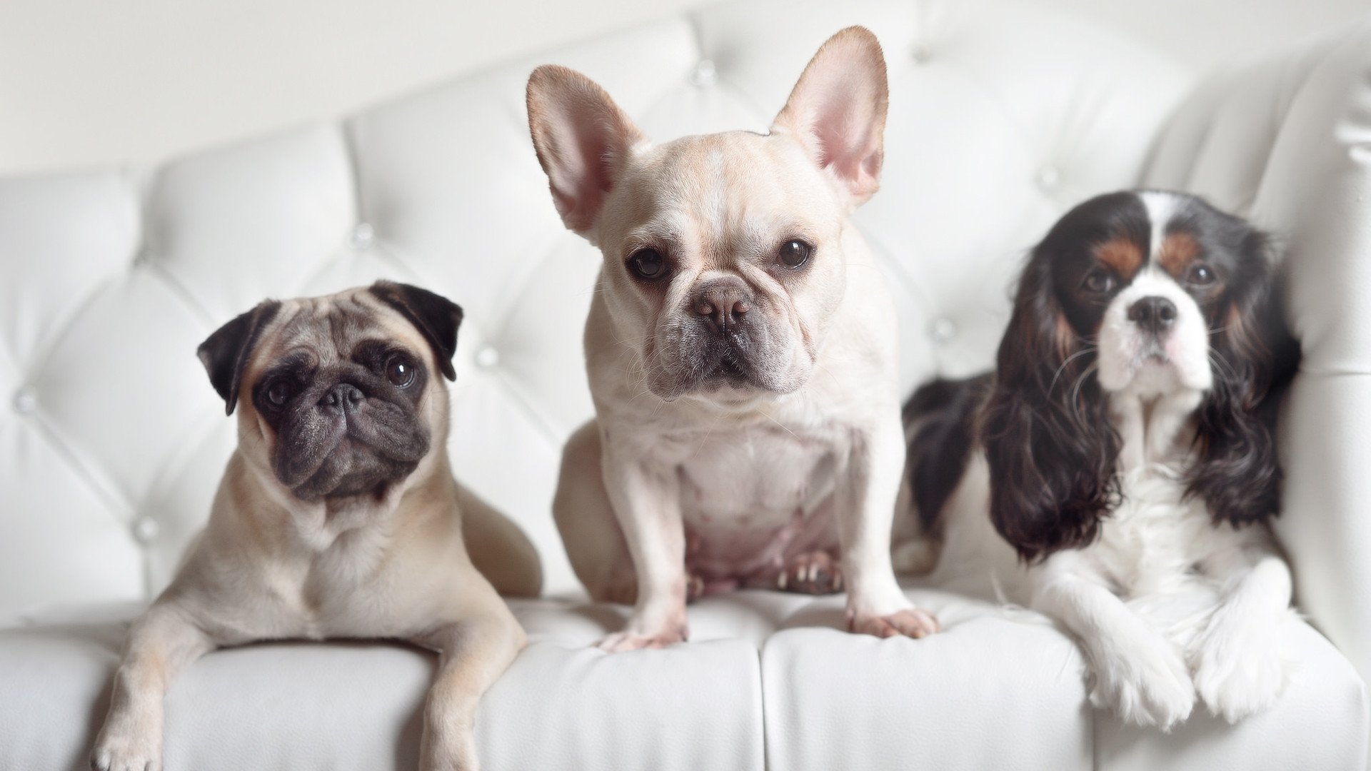 技术与经验并重 李冰洁展现全能实力,李冰洁赛后采访视频