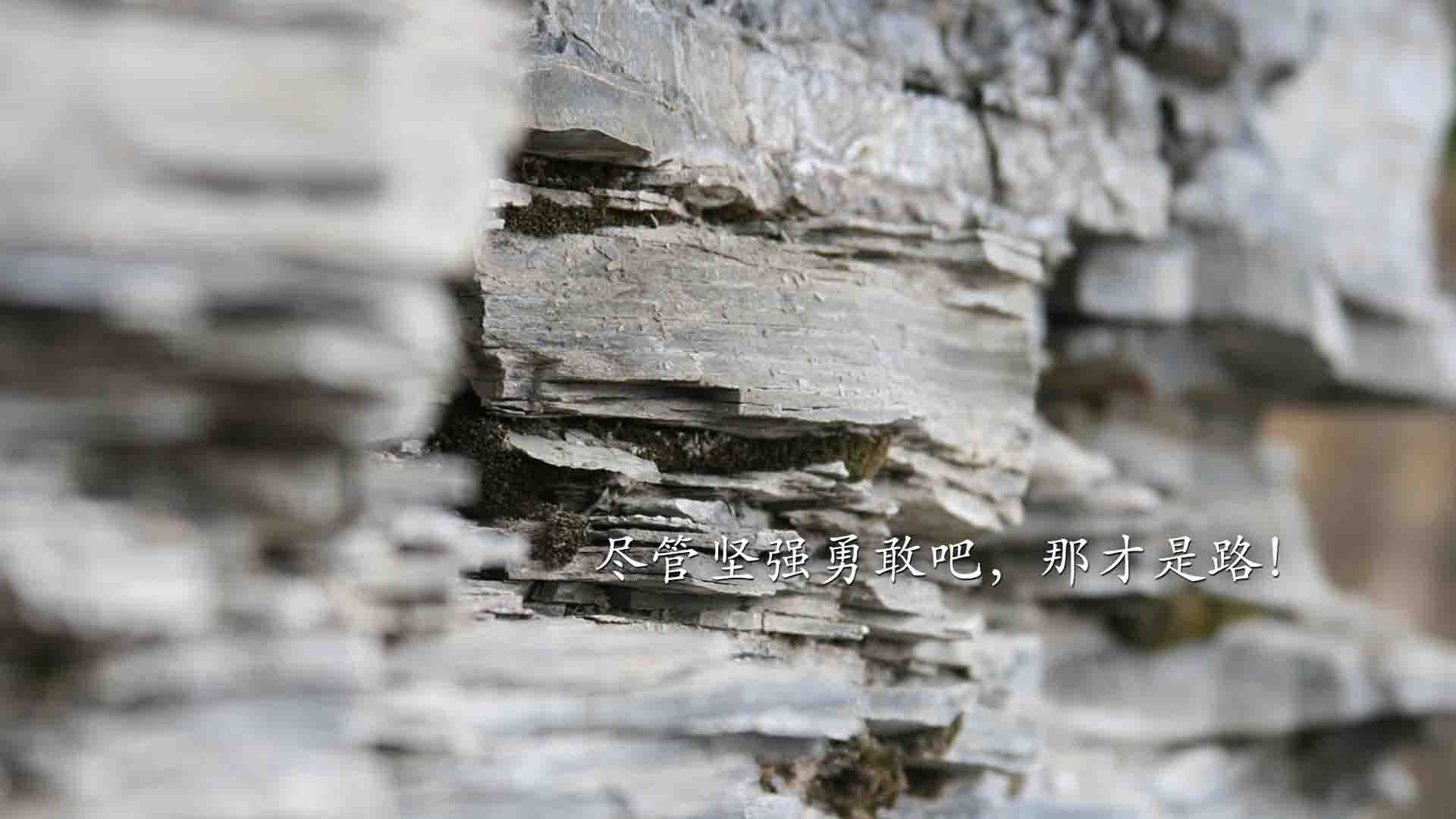 爱游戏下载-爱尔兰男子橄榄球超越传统商业模式，爱尔兰橄榄球联赛