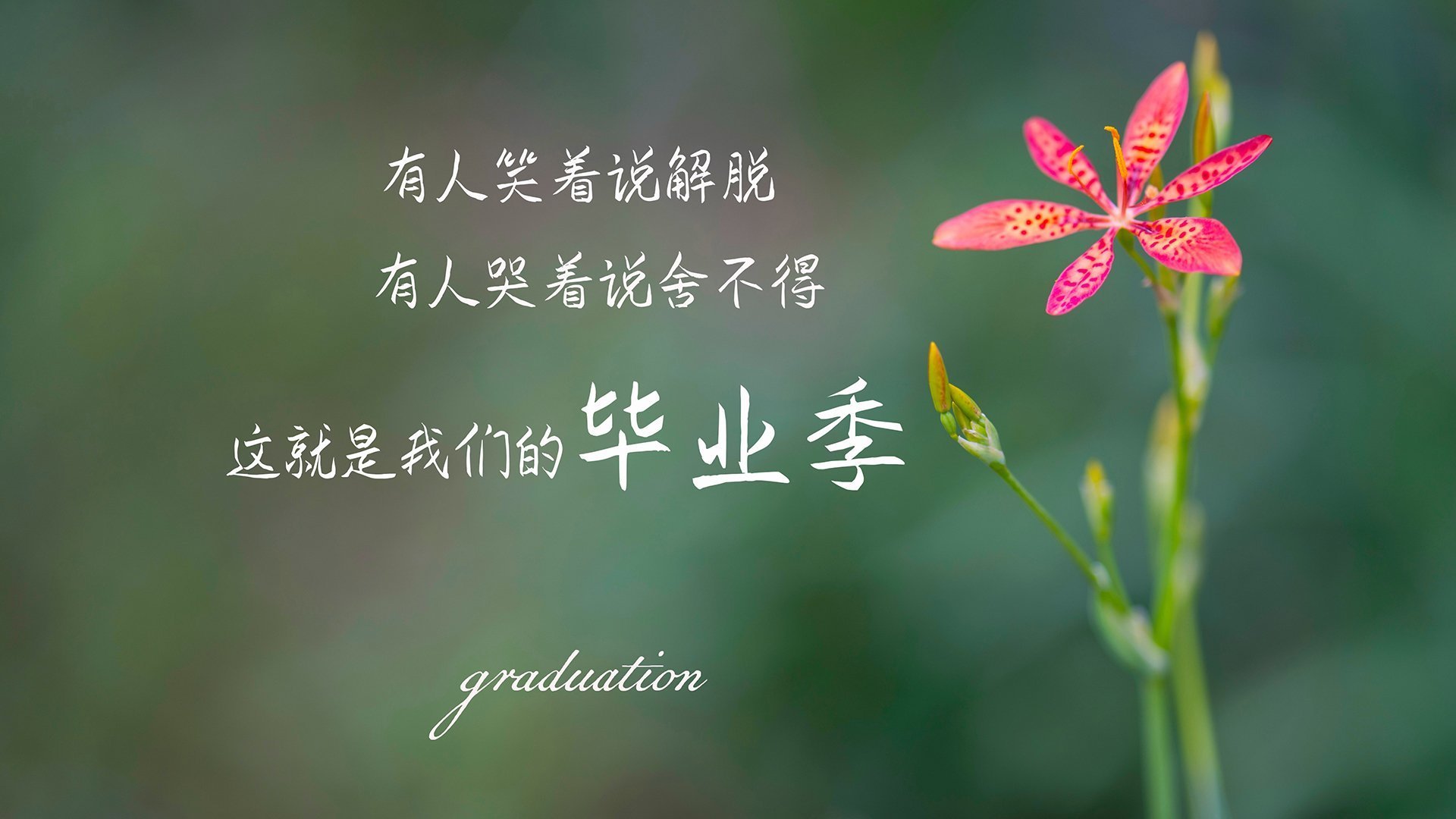 爱游戏体育官网-西甲终极大戏：精彩瞬间层出不穷！，西甲精彩集锦